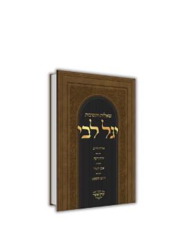 שאלות ותשובות יגל ליבי